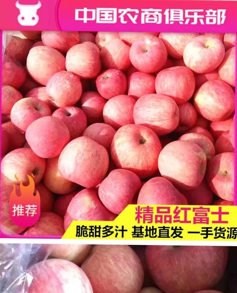 山东红富士苹果~条纹的~偏红的~条拉片都有产地直销价格低