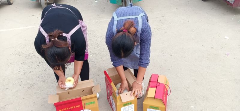 驻马店市汝南县三桥镇福林种植合作社，冬蜜桃种植销售一条龙