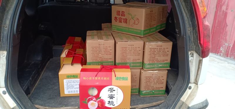 驻马店市汝南县三桥镇福林种植合作社，冬蜜桃种植销售一条龙