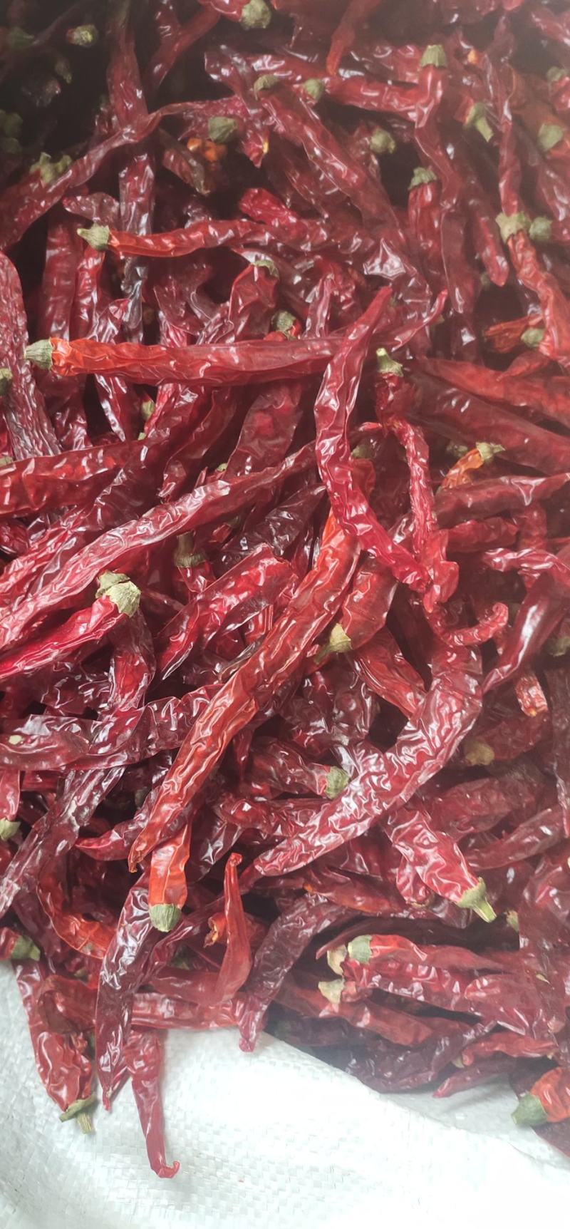 贵州二荆条干辣椒中辣特香辣椒面辣椒段节子辣椒面餐饮商用批