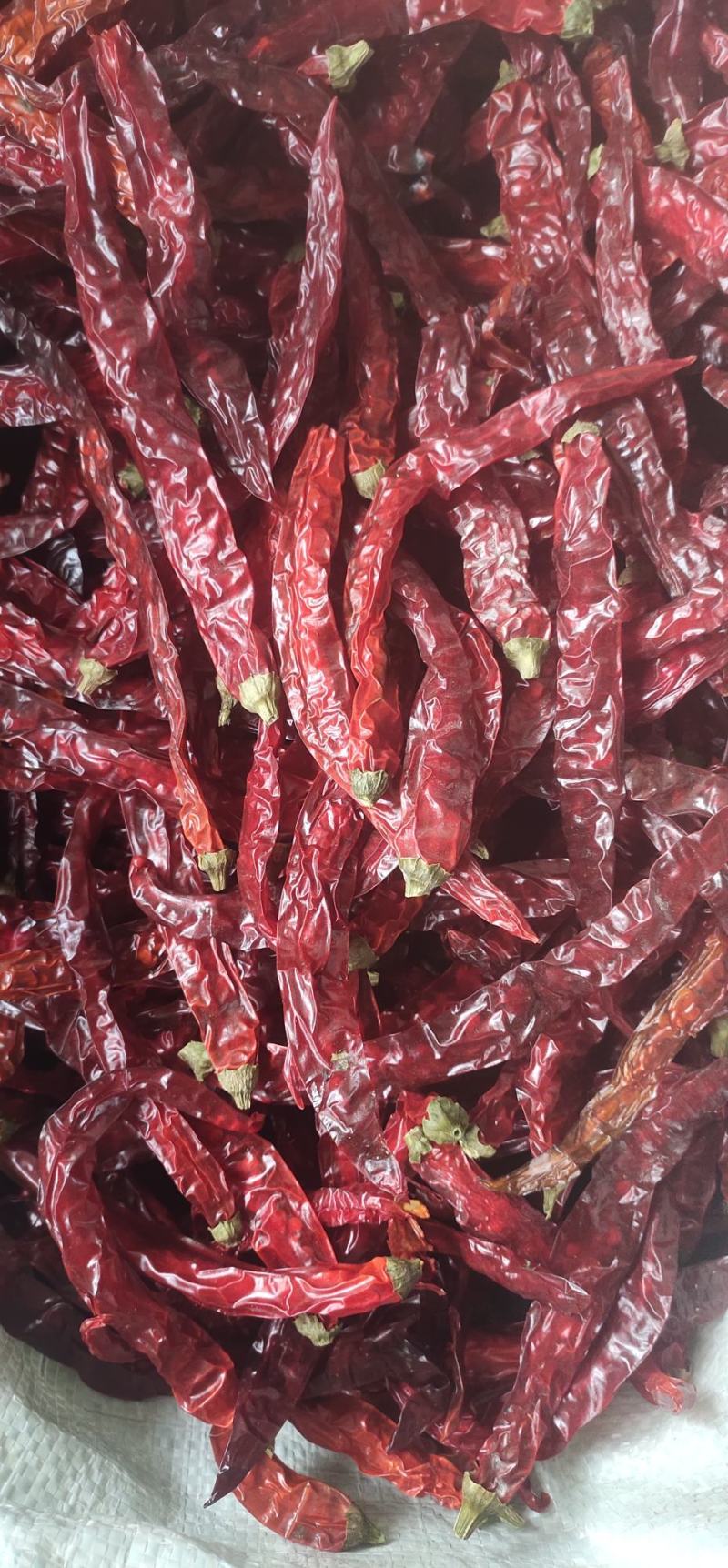 贵州二荆条干辣椒中辣特香辣椒面辣椒段节子辣椒面餐饮商用批