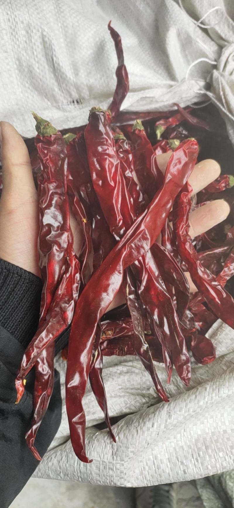 贵州二荆条干辣椒中辣特香辣椒面辣椒段节子辣椒面餐饮商用批