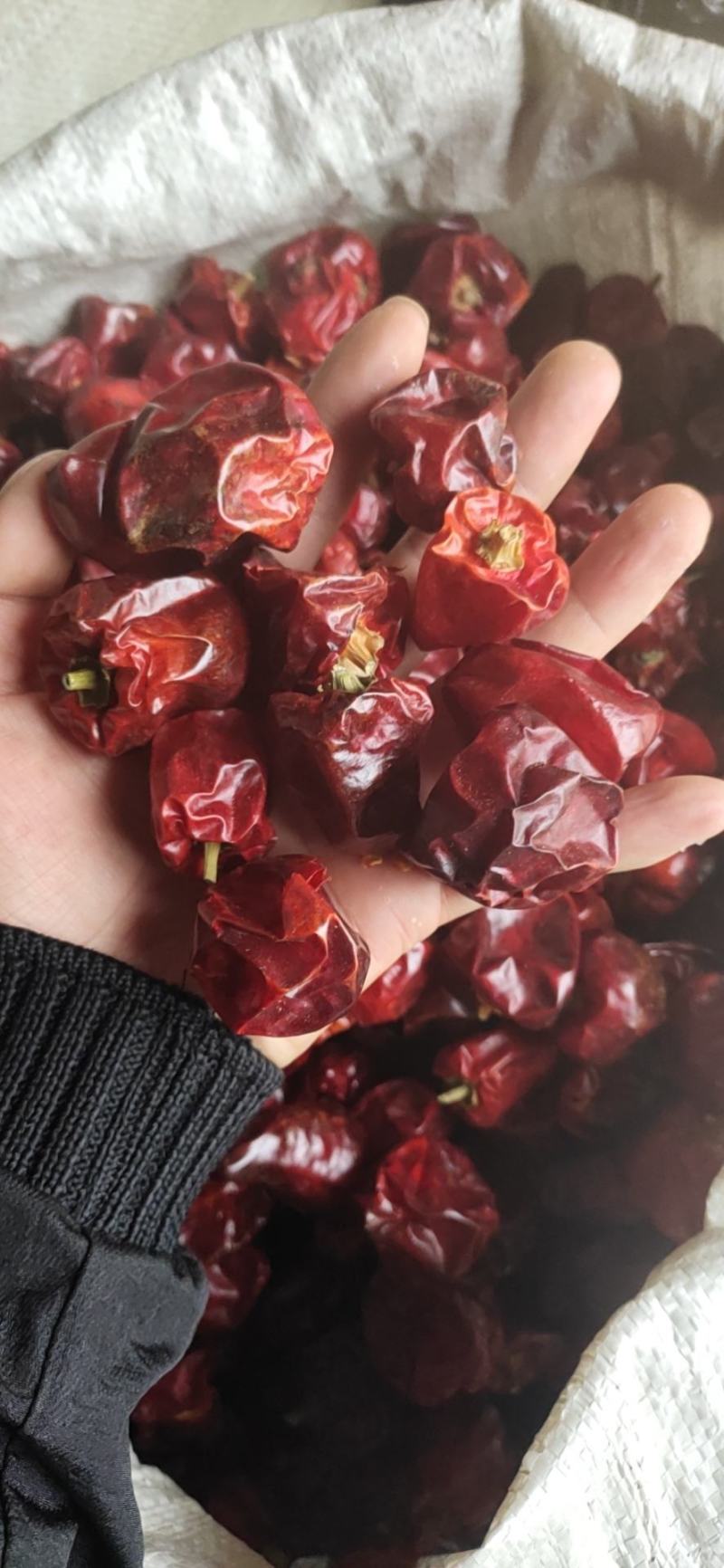 贵州灯笼椒干辣椒微辣超香节子辣椒面中粗细粉餐饮商用批发