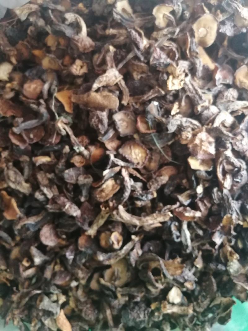 手选松蘑小块，干净整齐