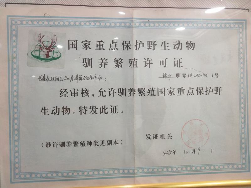 双阳鹿乡鹿肉白条整只去毛30斤至170斤冷链发货