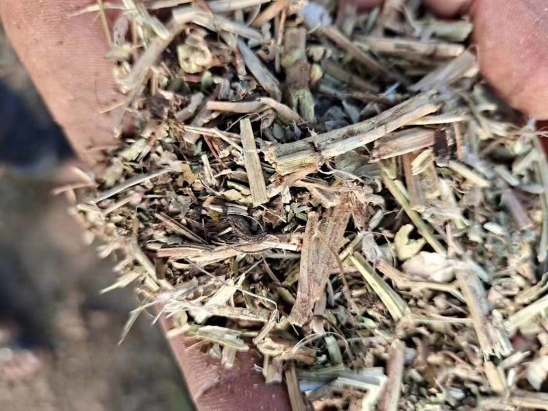 厂里大量现货销售优质花生秧，货源充足，加工精细，价格实惠