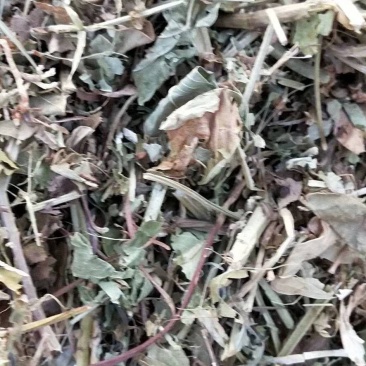 厂里大量现货销售优质花生秧，货源充足，加工精细，价格实惠