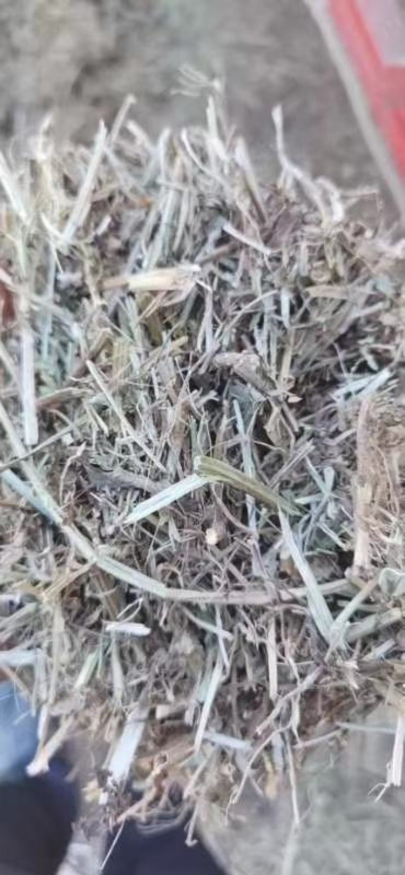 厂里大量现货销售优质花生秧，货源充足，加工精细，价格实惠