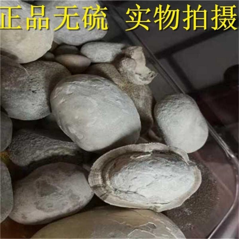 马宝中药材新货包邮马粪石马宝