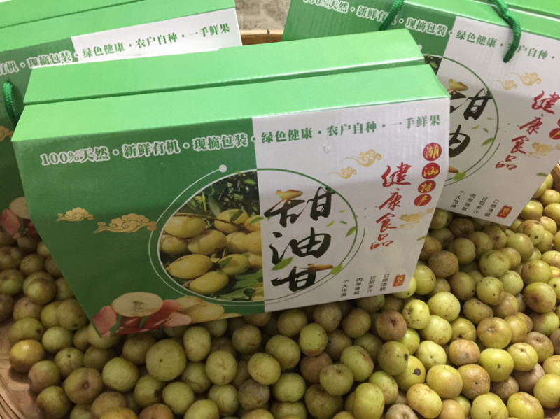 新鲜采摘油甘果余甘果