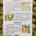 新鲜采摘油甘果余甘果