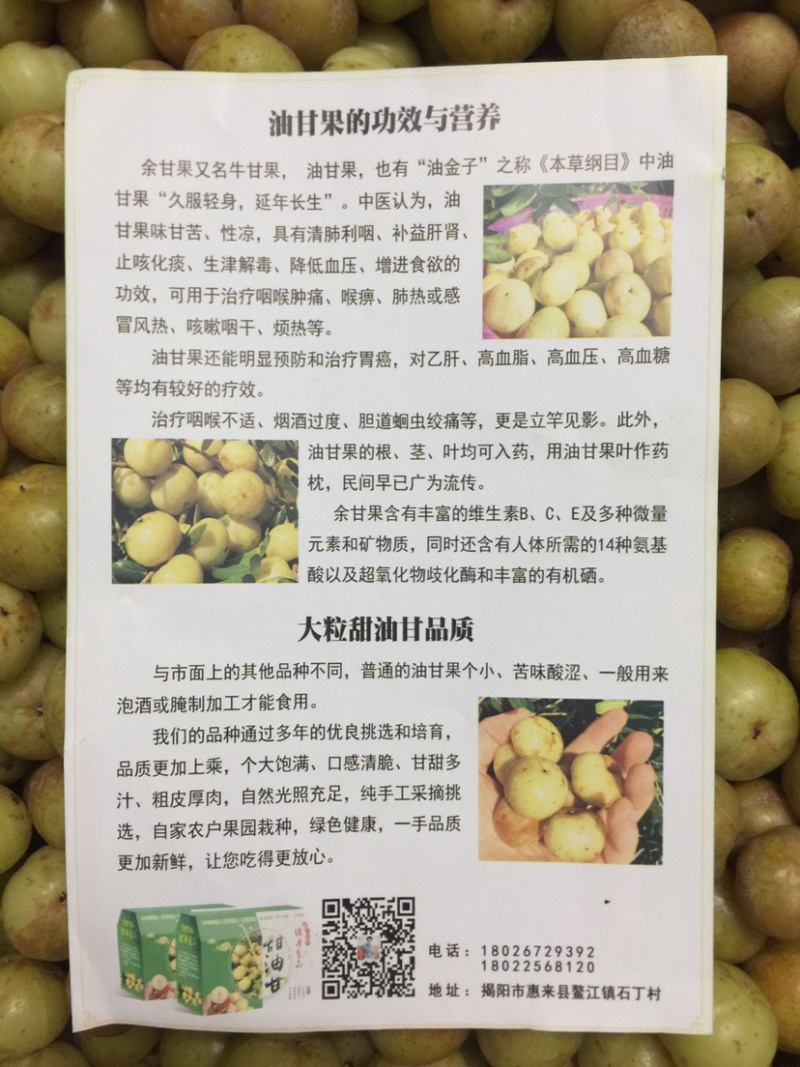 新鲜采摘油甘果余甘果
