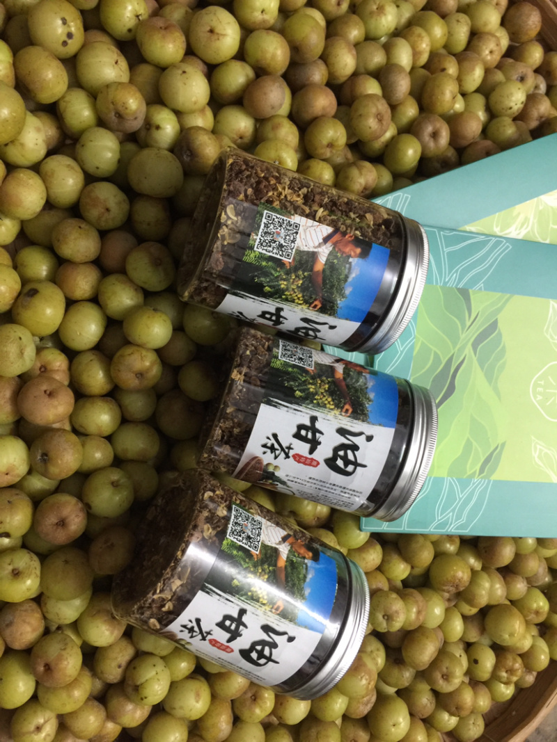 新鲜采摘油甘果余甘果
