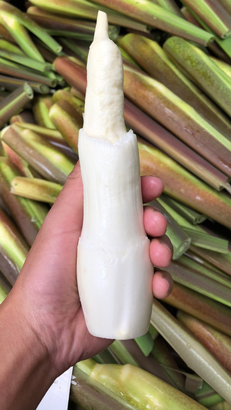 德清供应大量双季茭白