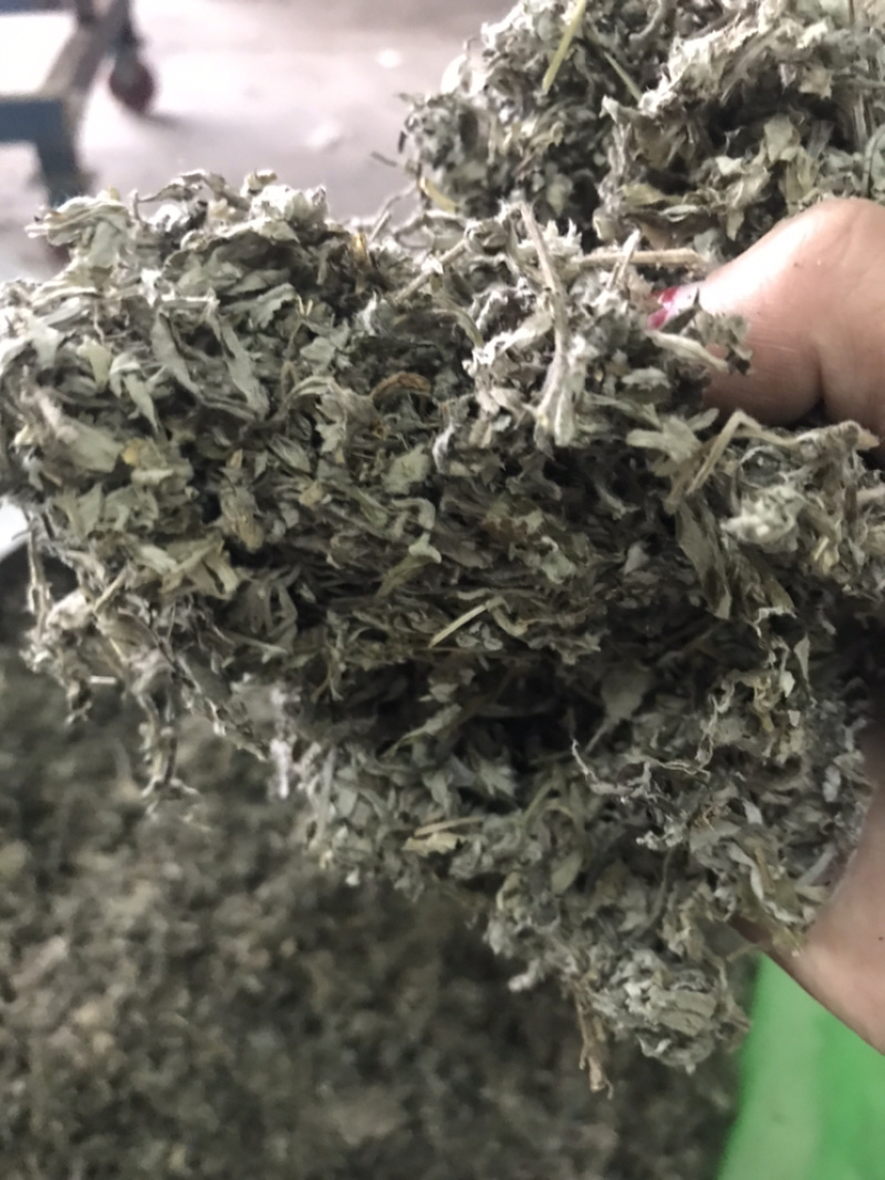 艾叶艾草整个艾叶切片艾叶大艾叶实物拍摄泡脚艾叶