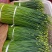 石屏县韭菜花直销点大水村