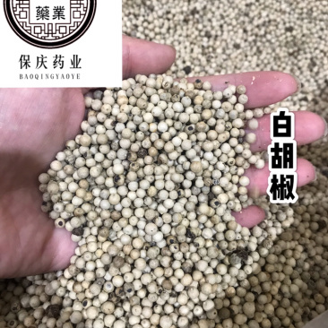 白胡椒大料白胡椒保庆药业批发白胡椒实物拍摄