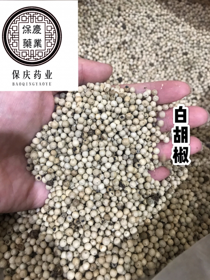 白胡椒大料白胡椒保庆药业批发白胡椒实物拍摄