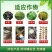 馈福康奥丰中药杀菌剂腐烂病溃疡病粗皮病树脂病流胶病