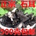中药材石耳野生岩耳包邮250克/石木耳岩菇石壁花