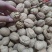 新疆正宗薄皮核桃，原产地收货！量大从优！颗颗精挑细选！