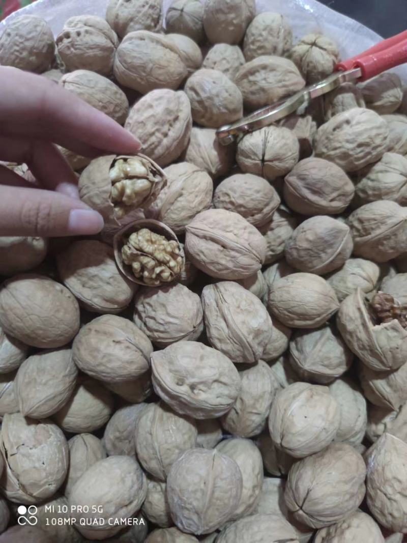 新疆正宗薄皮核桃，原产地收货！量大从优！颗颗精挑细选！