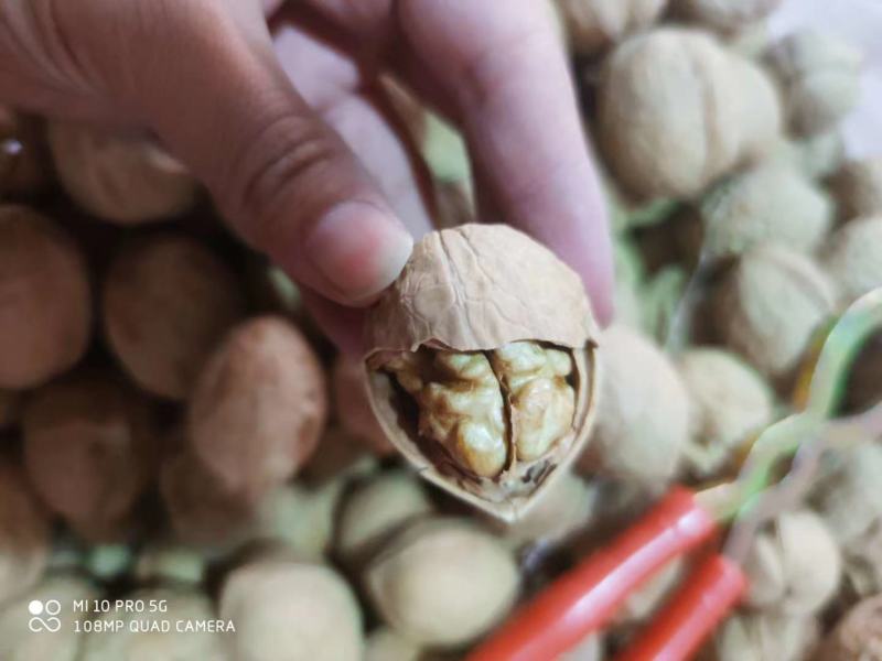 新疆纸皮核桃！口感纯正！新货！新货！新货！