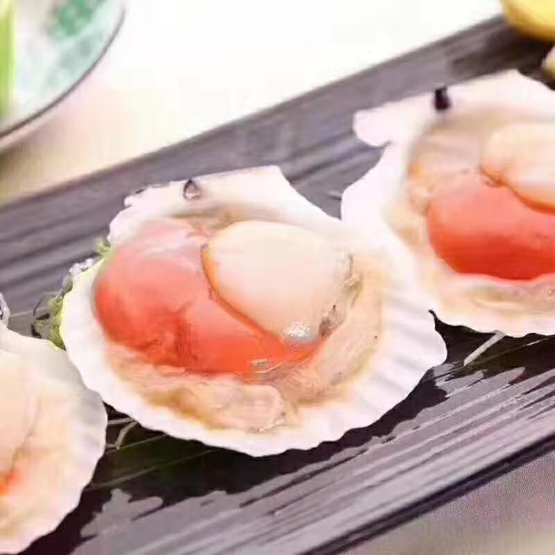 獐子岛原装扇贝10-11北京现货，支持专票，全规格，现货