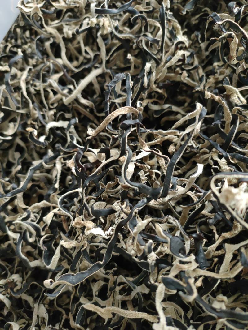 木耳丝木耳丝木耳丝木耳