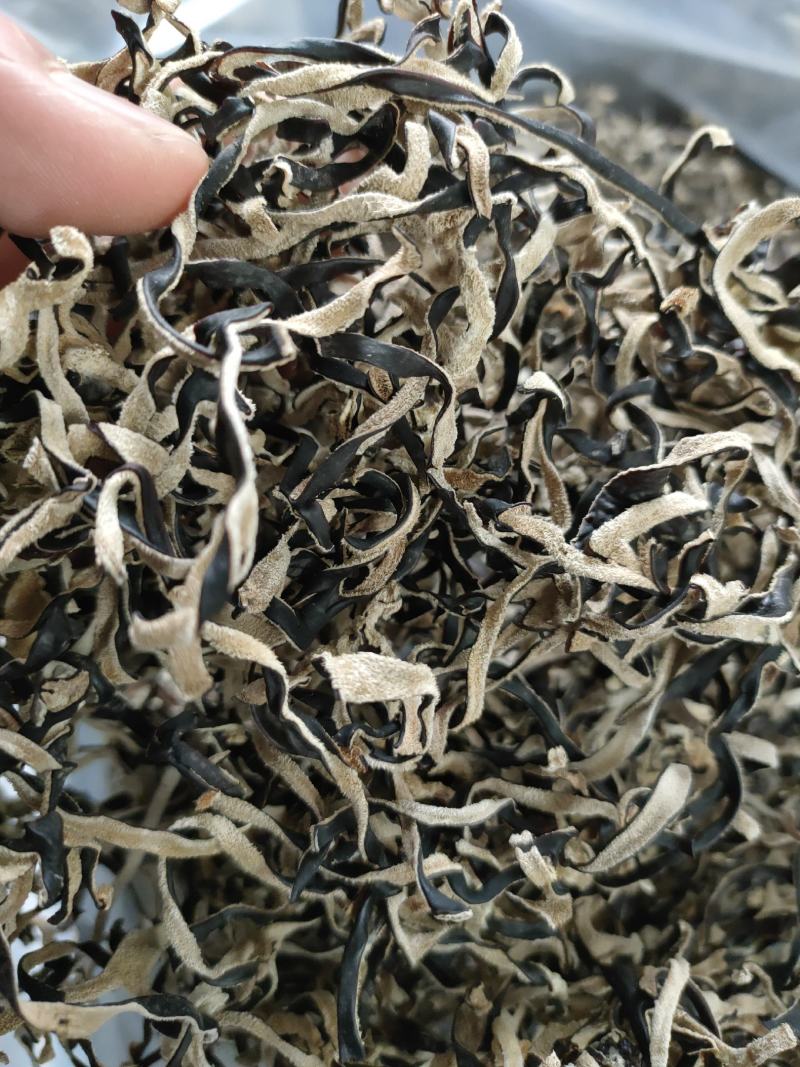 木耳丝木耳丝木耳丝木耳