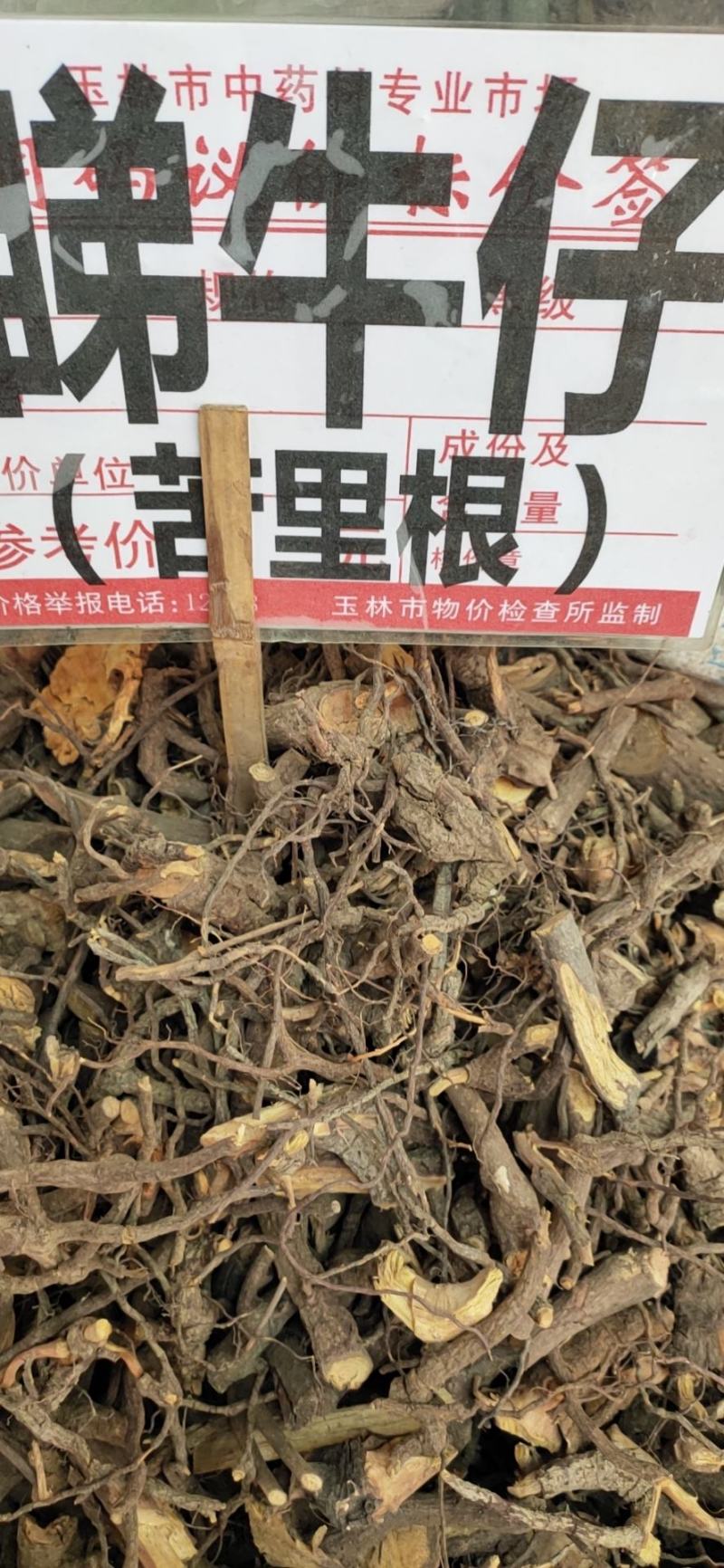野生苦里根睇牛仔根部苦里脚根黎辣根干货
