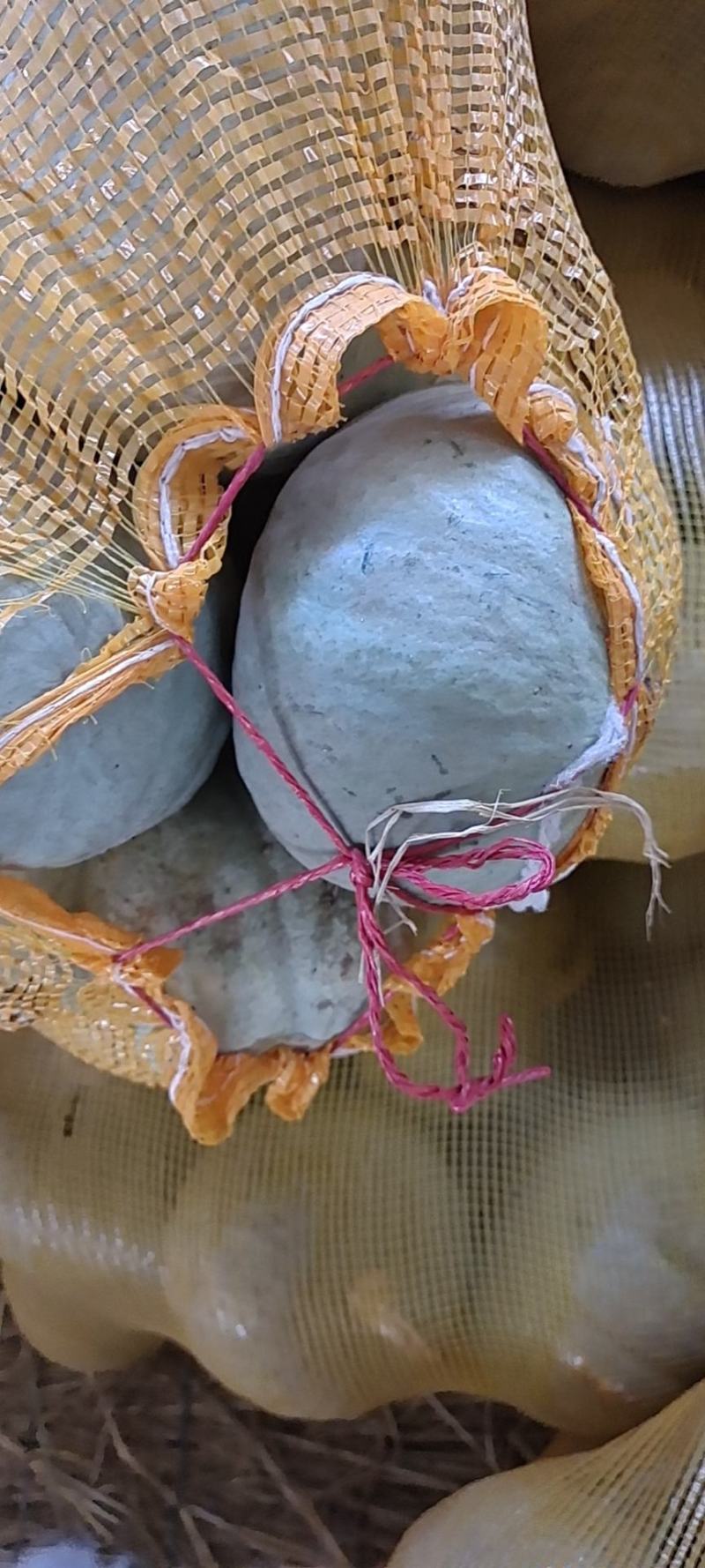精品板栗，银栗，贝贝，红瓜，需要联系我，大量有货老度杠杠