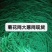 大葱蒜黄韭黄防倒网厂价直销