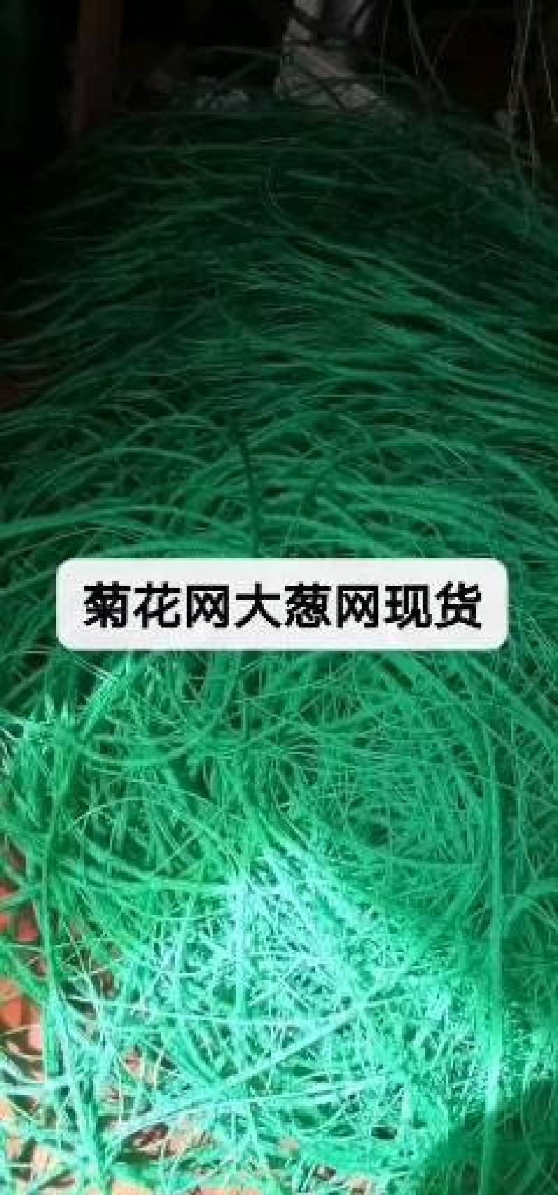 大葱蒜黄韭黄防倒网厂价直销
