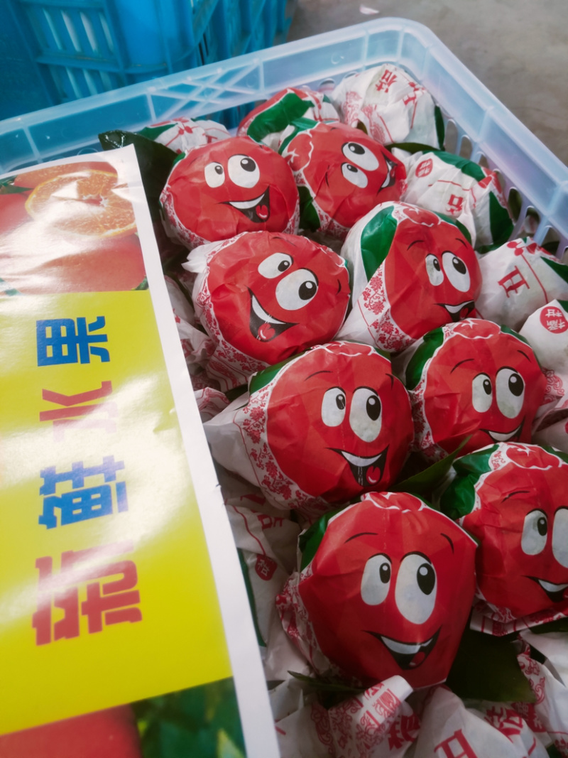 【精品丑橘】不知火丑橘纯甜化渣农户一手货源供应货源充足