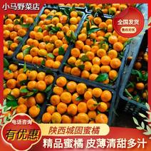 陕西汉中热卖蜜橘产地日销100吨量大从优