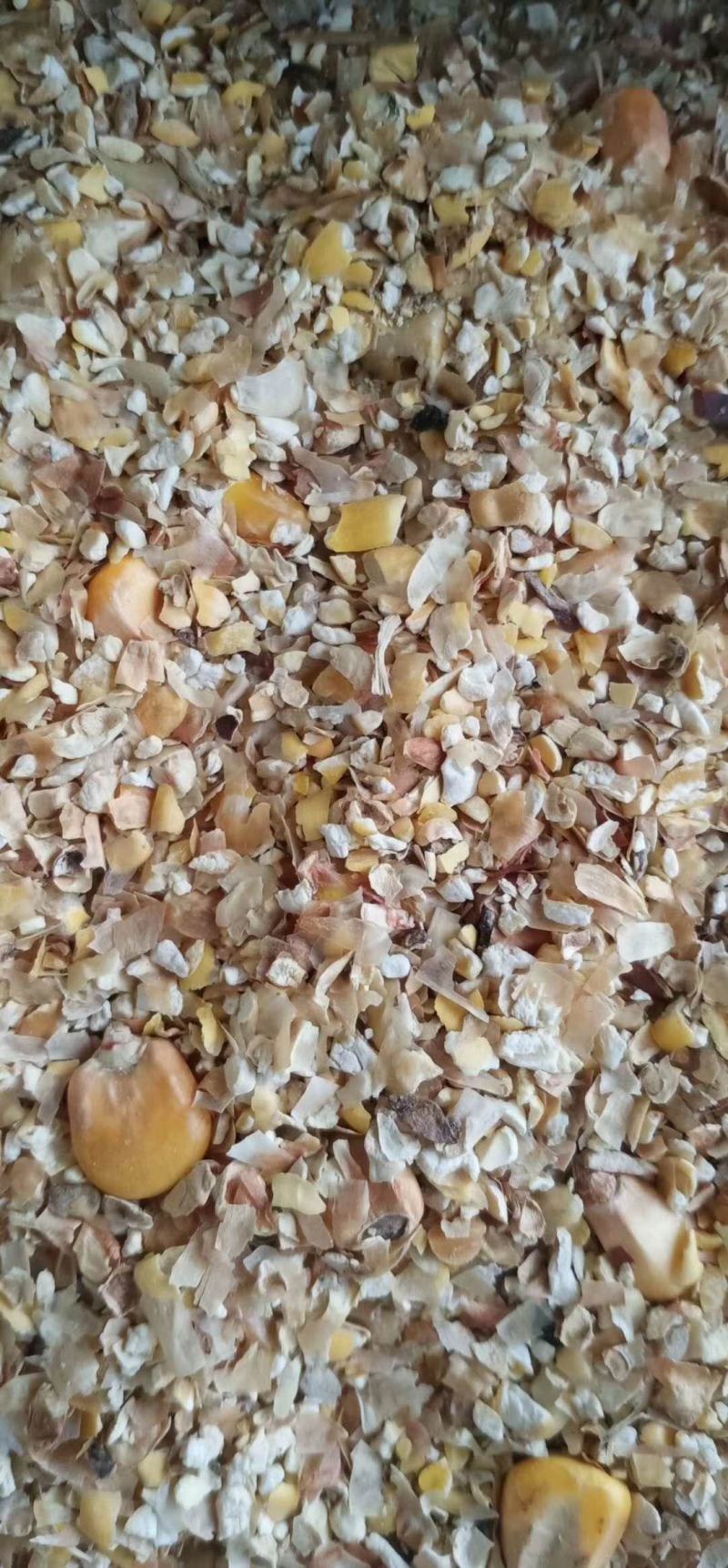 厂家批东北发烘干粮干净无土无尘无沙鸡鸭鹅猪牛羊饲料