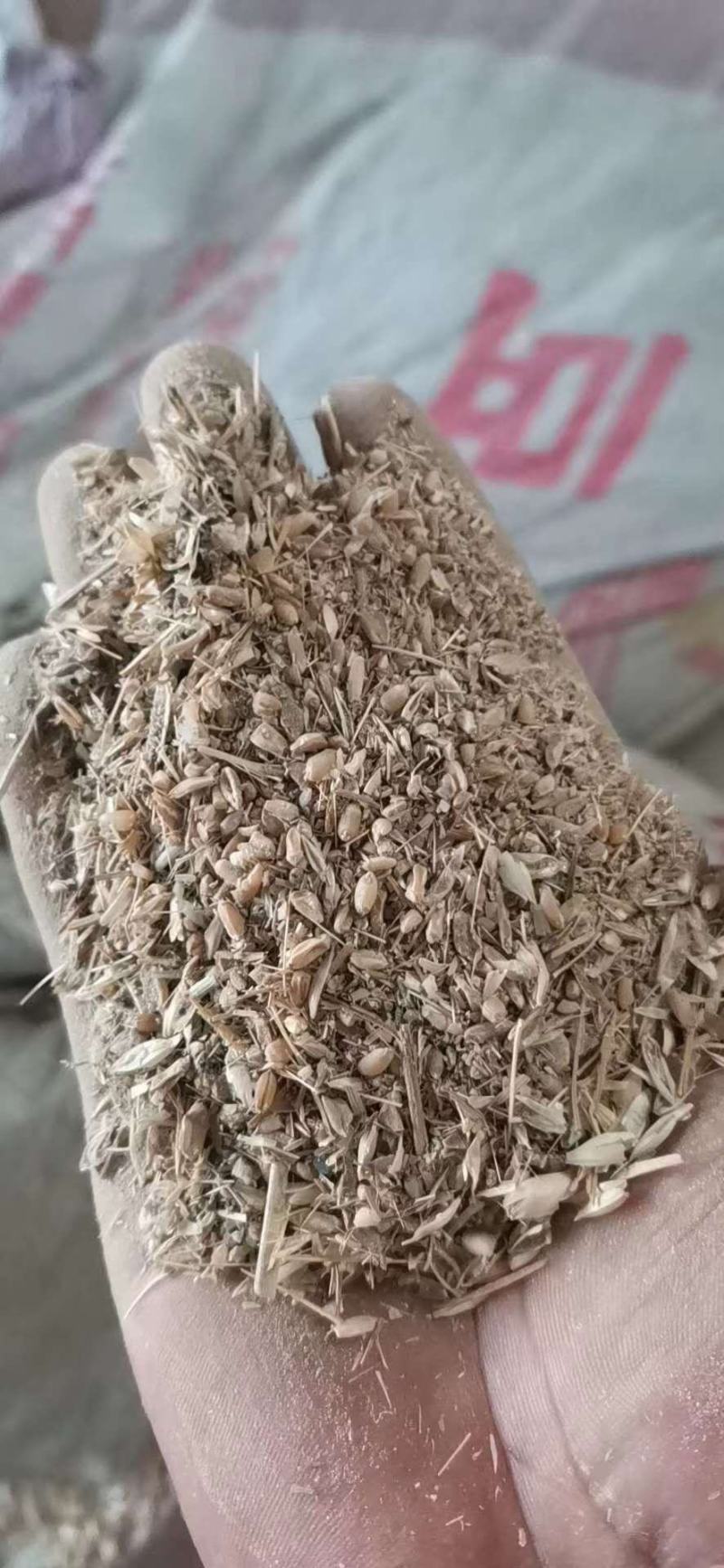 鸡鸭鹅猪牛羊养殖饲料碎麦子量大从优长期供应