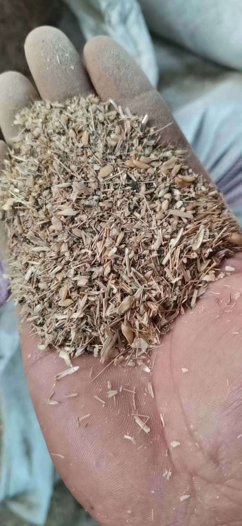鸡鸭鹅猪牛羊养殖饲料碎麦子量大从优长期供应