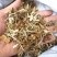 石龙芮中药材正宗水芹水姜苔胡椒菜野芹菜和尚菜