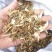 石龙芮中药材正宗水芹水姜苔胡椒菜野芹菜和尚菜