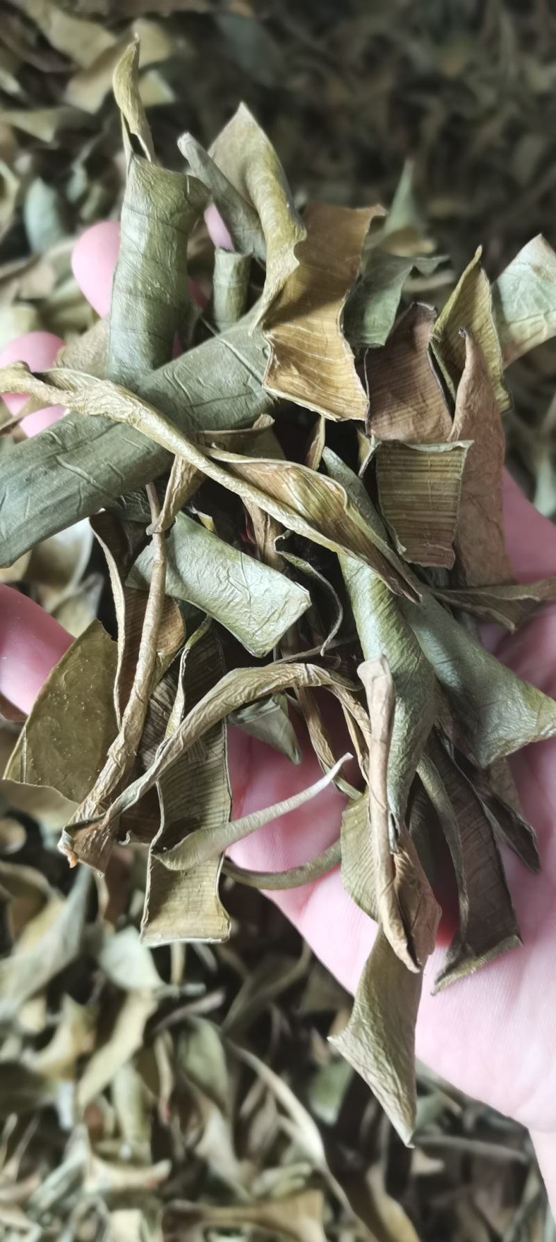 芦荟芦荟叶干片芦荟干泡茶各种中药材