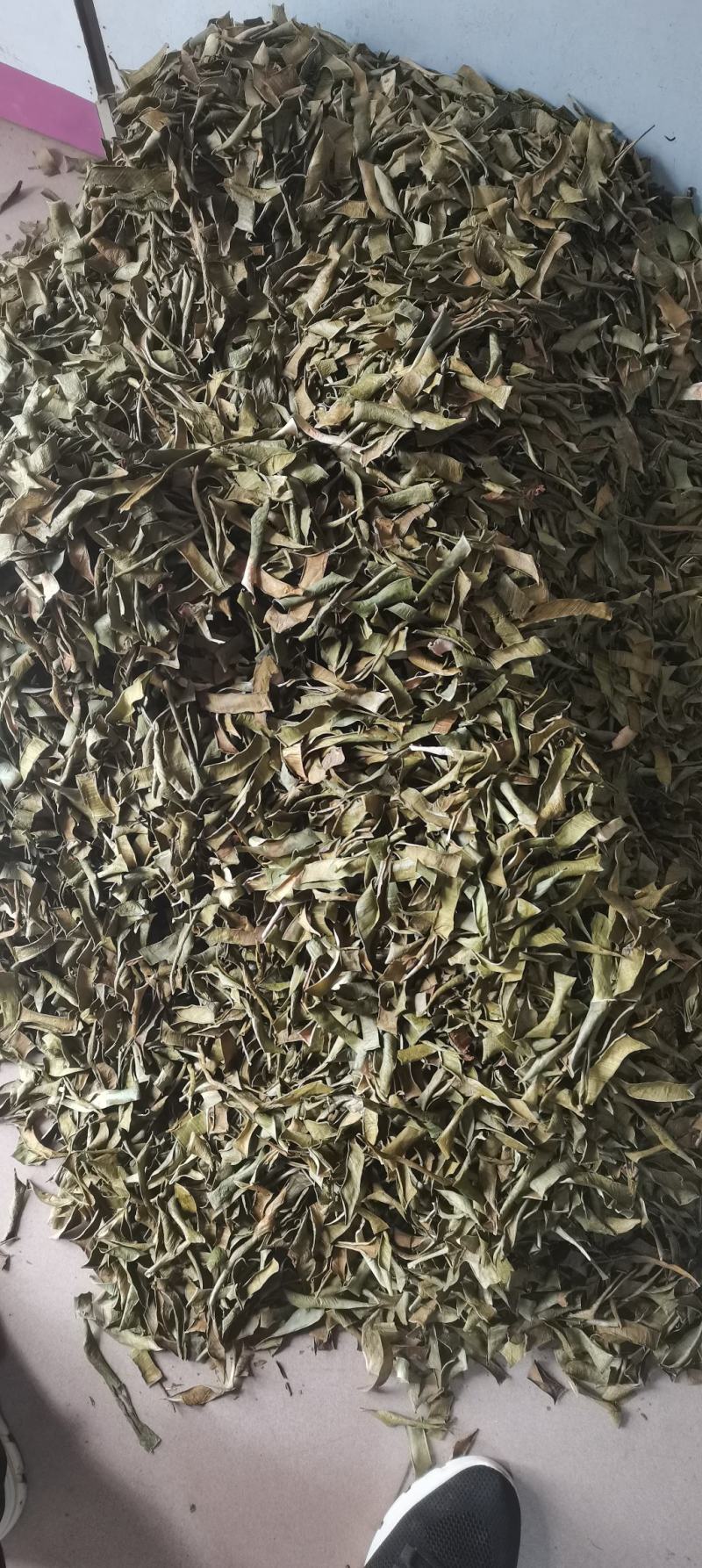 芦荟芦荟叶干片芦荟干泡茶各种中药材
