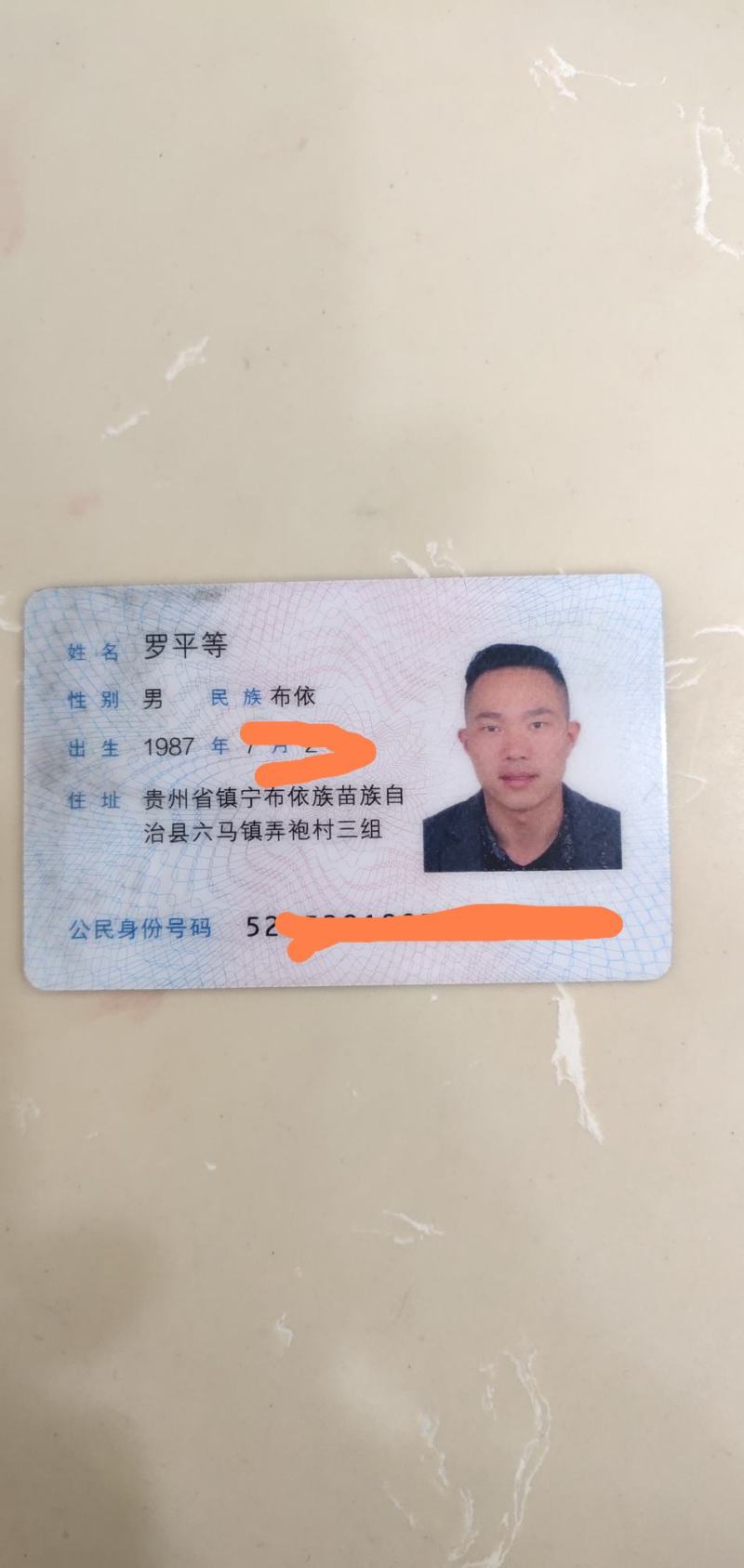 贵州安顺六马正宗蜂糖李子苗嫁接苗果树苗批发