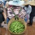 四季豆无筋豆，，，