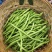 四季豆无筋豆，，，