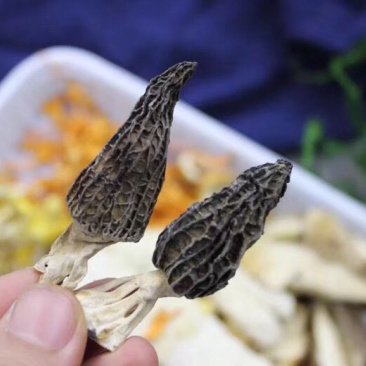 七彩菌汤包，合适煲汤，炖鸡，炖排骨