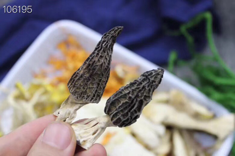 七彩菌汤包，合适煲汤，炖鸡，炖排骨