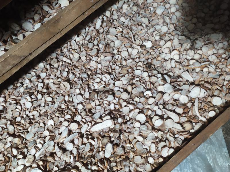 【量小冲量】多年生川白芍无硫机器统片，道地产区药性十足