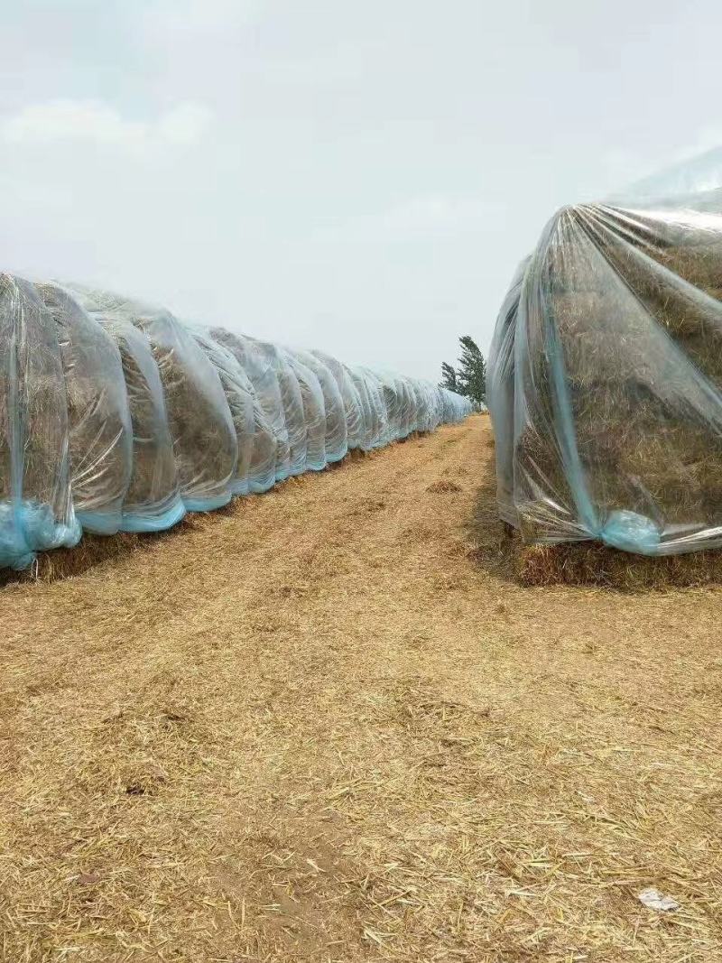 小麦秸秆粉碎柔丝套袋
